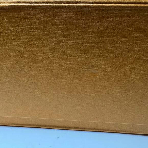 Louis Vuitton Paris NeoNoe Bag in Epi Leather Black + Ultimate Monogram BB Scarf - Picture 12 of 13